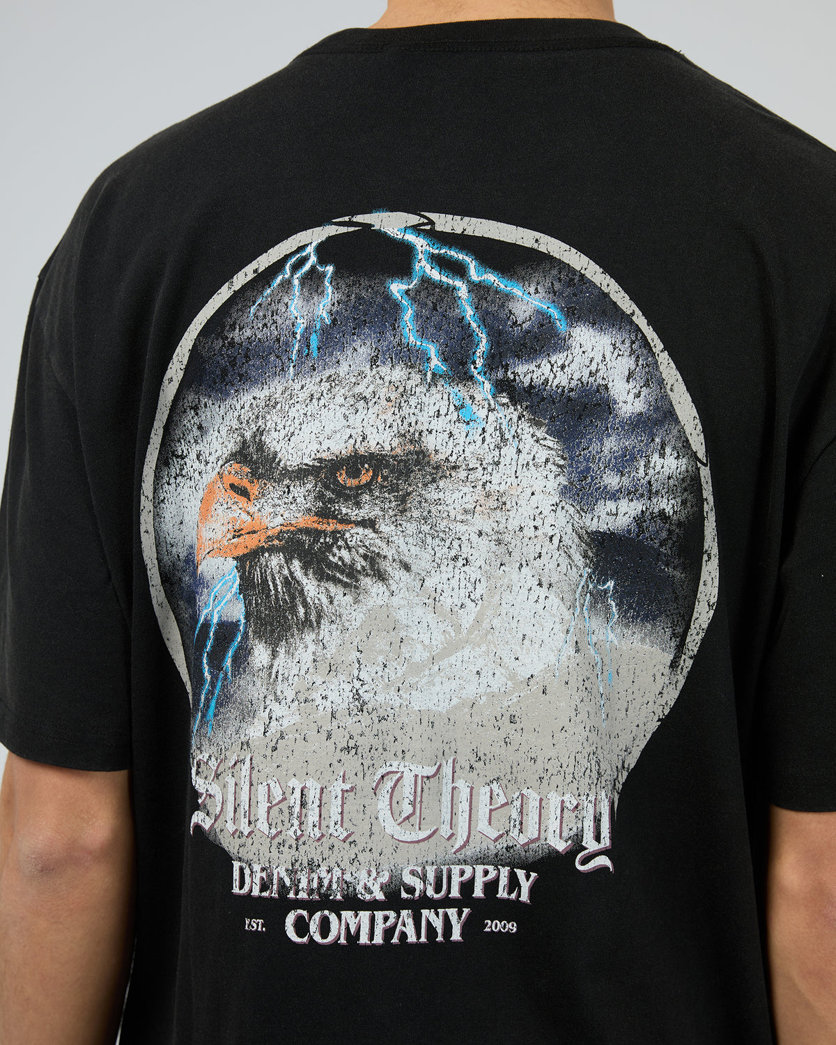 Wild Eagle Tee Washed Black